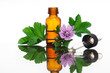 Malva Sylvestris with essential oil bottle