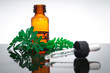 Rue with essential oil bottle