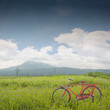 red bicycle