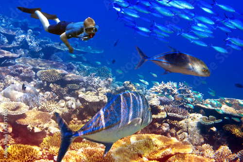 Photo: The diver over corals and tropical fishes The diver over corals and tropical fishes