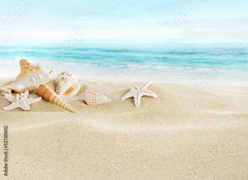 Fototapeta Shells on sandy beach
