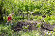 Boy in red shorts helps to cultivate the land rake