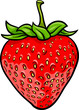 strawberry fruit cartoon illustration