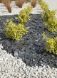 Photo: paillage minéral d'espace vert paillage minéral d'espace vert