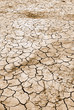 dry land in summer in europe