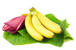 Bananen mit Bananenblüte