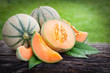 Foto: Cantaloupe melons Cantaloupe melons