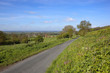 wolds view