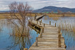 Foto: Vrana lake nature park wooden boardwalk Vrana lake nature park wooden boardwalk