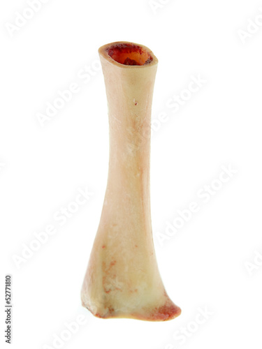 Photo: knochenmark knochenmark