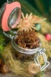 Foto: Christmas spices Christmas spices