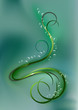 Swirling bright curves and bubbles