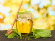 Jar of honey with flowers of lime,