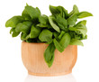 Fresh herb in bowl isolated on white