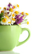 Beautiful Wild Flowers And Min...