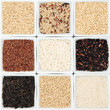 Rice Grain Varieties