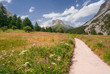 Moutain Trail