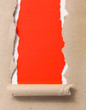 vertical ripped paper
