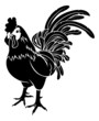 Stylised rooster illustration