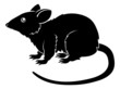 Vektor: Stylised rat illustration Stylised rat illustration