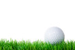 golfball in wiese