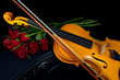 Violin on carry case