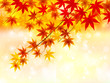 もみじ　紅葉　秋　背景