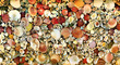 Seashell mosaic