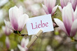 Liebe