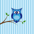 blaue eule