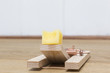 Mousetrap