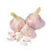 Garlic isolated on white background