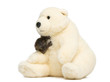 Foto: Baby Blue-eyed Black Lemur cuddling with a teddy bear, isolated Baby Blue-eyed Black Lemur cuddling with a teddy bear, isolated