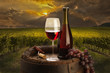 Foto: still life with red wine on vineyard still life with red wine on vineyard
