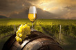 Foto: still life with white wine still life with white wine