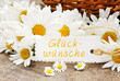 canvas print picture - Schild "Glückwünsche" mit Margeriten