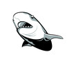 Astonished shark tattoo or logo part
