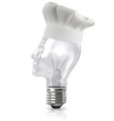Chef bulb / Creative cuisine