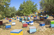 Farbenfrohe Bienenstöcke auf Kreta