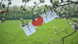 declaration of love on spring tree