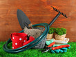 Foto: Garden tools on grass in yard Garden tools on grass in yard
