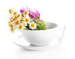 Beautiful wild flowers in .cup, isolated on white