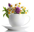 Beautiful Wild Flowers And Min...