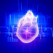 Human heart beats