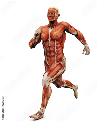 Illustration: muscle man running back muscle man running back