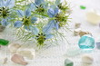 Nigella And Stones