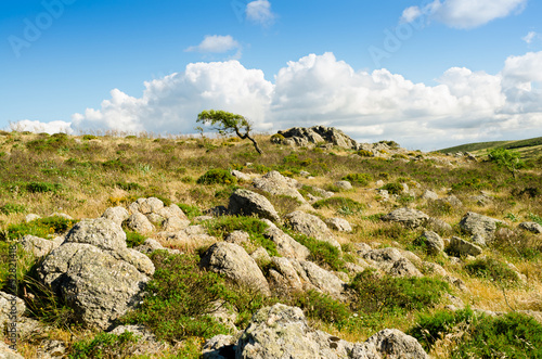 Photo: Sardegna, Gerrei Sardegna, Gerrei