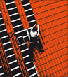 Dachdecker