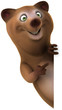 Fun bear