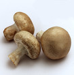 Funghi porcini